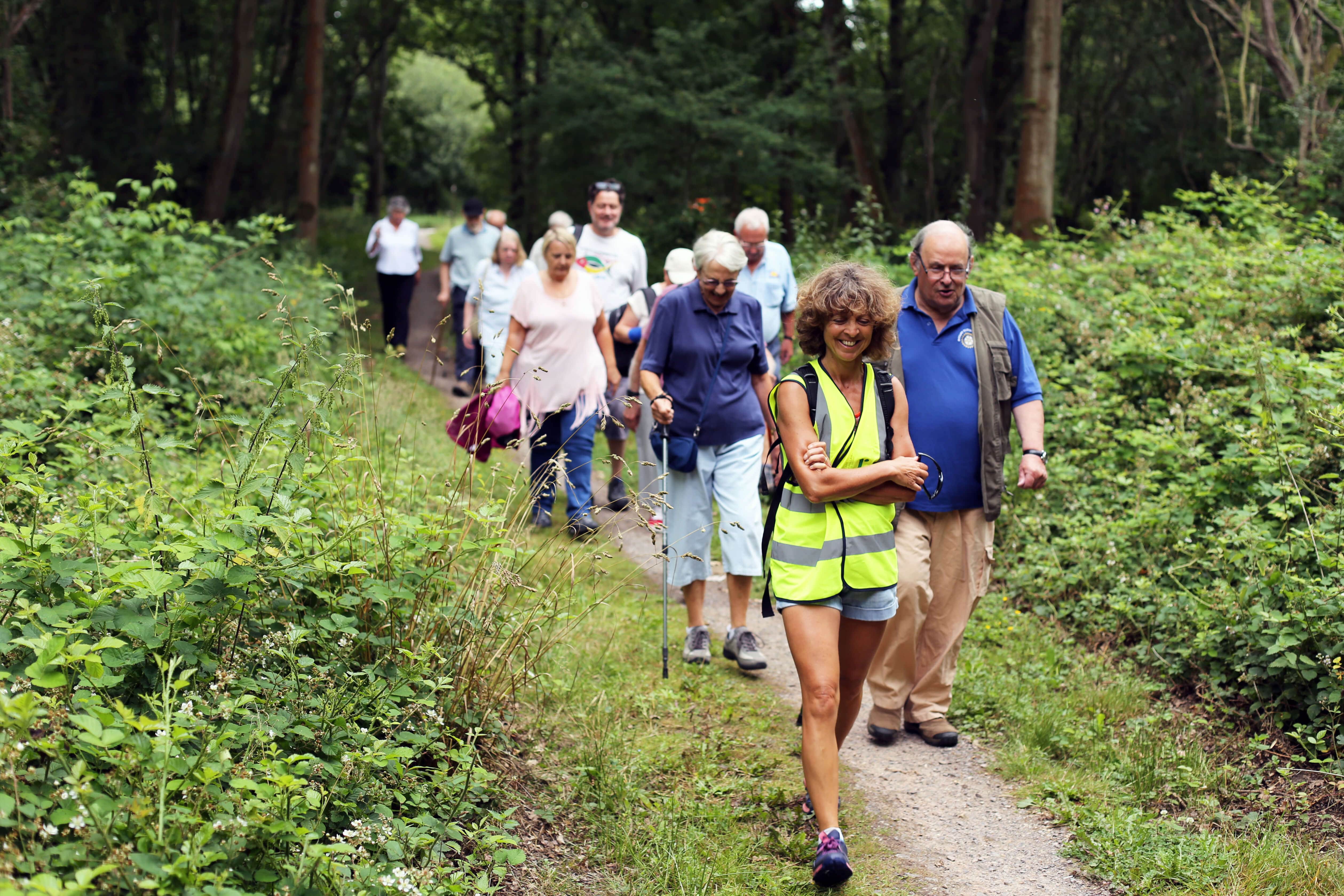 A group of ramblers walking through a forest. A lady wearing a reflective gilet is smiling at the front